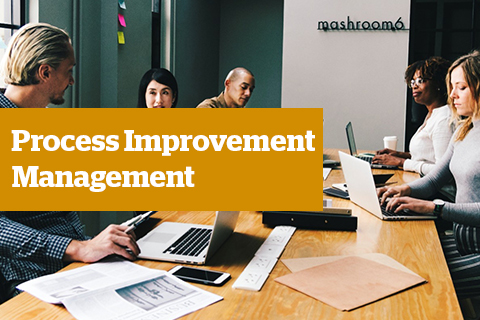 Process Improvement Management