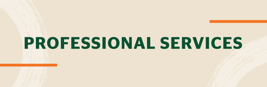 Professional Services