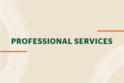 Professional Services