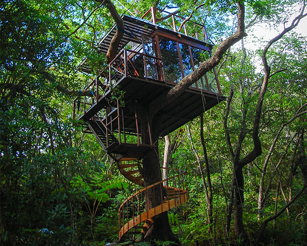 Treehouse