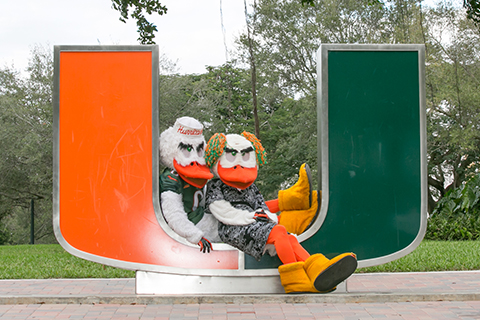 love at the u