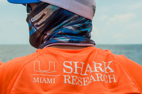 Shark Research